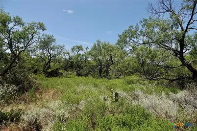 5711 Fm 765, San Saba, TX 76872 - Photo 22