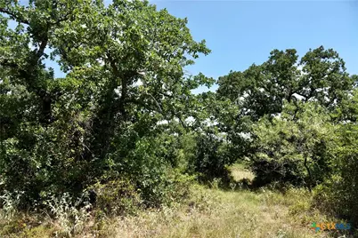 5711 Fm 765, San Saba, TX 76872 - Photo 18