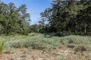 180 Autumn Oak Ct, Caldwell, TX 77836 - Photo 2
