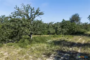 180 Autumn Oak Ct, Caldwell, TX 77836 - Photo 10