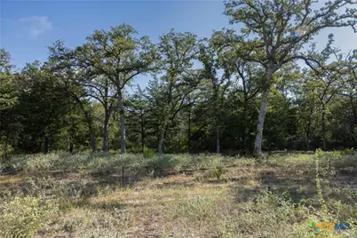 180 Autumn Oak Ct, Caldwell, TX 77836 - Photo 1