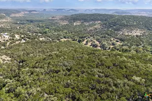 1920 The Low Rd, San Marcos, TX 78666 - Photo 4