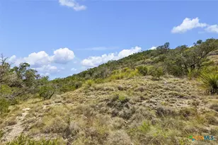 1920 The Low Rd, San Marcos, TX 78666 - Photo 24