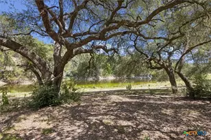 1920 The Low Rd, San Marcos, TX 78666 - Photo 14