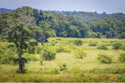 181 Pine Meadow Road, Seguin, TX 78155 - Photo 12