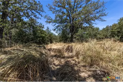 10 Gander Sloough, Kingsbury, TX 78638 - Photo 1