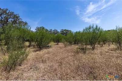10 Gander Sloough, Kingsbury, TX 78638 - Photo 12