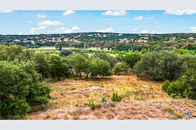 154 Double Tree Lane, Canyon Lake, TX 78133 - Photo 4
