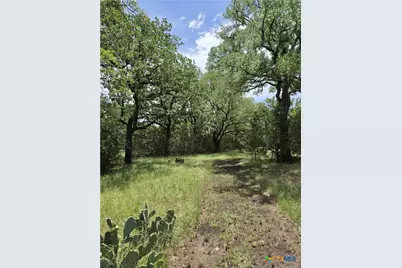 370 County Road 3106, Kempner, TX 76539 - Photo 4