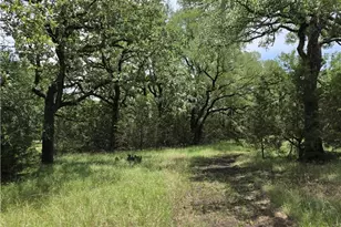 370 County Rd 3106, Kempner, TX 76539 - Photo 4