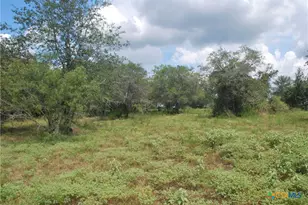 Tbd Lot 24 State Hwy 95, Flatonia, TX 78941 - Photo 18