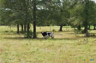 Tbd Lot 24 State Hwy 95, Flatonia, TX 78941 - Photo 8