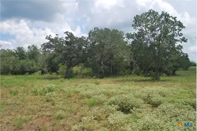 Tbd Lot 24 State Highway 95, Flatonia, TX 78941 - Photo 10