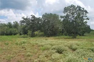 Tbd Lot 24 State Hwy 95, Flatonia, TX 78941 - Photo 10