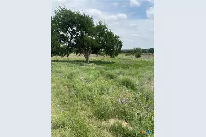 305 County Road 2227, Lampasas, TX 76550 - Photo 4