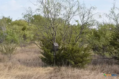 3877 W US Highway 190, Lometa, TX 76853 - Photo 8