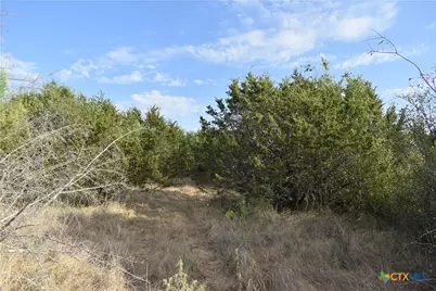 3877 W US Highway 190, Lometa, TX 76853 - Photo 14