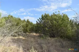 3877 W US Hwy 190, Lometa, TX 76853 - Photo 14