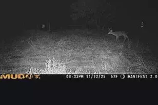 3650 Fm 932, Jonesboro, TX 76538 - Photo 32