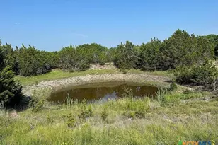 3650 Fm 932, Jonesboro, TX 76538 - Photo 28