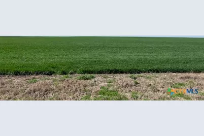 Tract 3 County Rd 355, Rosebud, TX 76519 - Photo 4