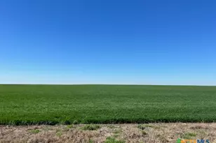 Tract 3 County Rd 355, Rosebud, TX 76519 - Photo 4