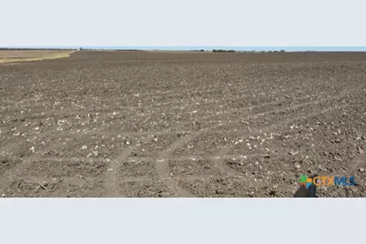 Tract 3 County Rd 355, Rosebud, TX 76519 - Photo 8