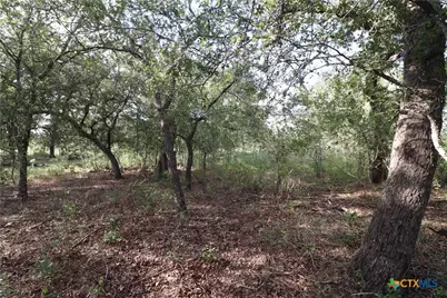 5668 State Highway 97, Floresville, TX 78114 - Photo 20