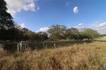 5668 State Highway 97, Floresville, TX 78114 - Photo 8