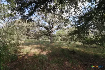 5668 State Highway 97, Floresville, TX 78114 - Photo 12