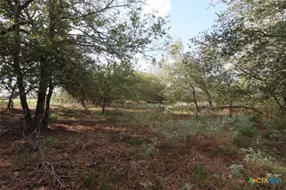 5668 State Highway 97, Floresville, TX 78114 - Photo 10