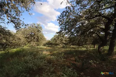 5668 State Highway 97, Floresville, TX 78114 - Photo 14