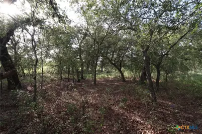 5668 State Highway 97, Floresville, TX 78114 - Photo 22