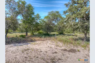 3912 Hickory Forrest Drive, Seguin, TX 78155 - Photo 36