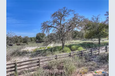 3912 Hickory Forrest Drive, Seguin, TX 78155 - Photo 16