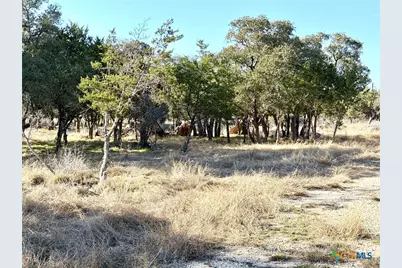 1358 County Road 233 Road, Florence, TX 78633 - Photo 8