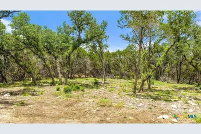 Tract 8 Cypress Cove Road, Spring Branch, TX 78070 - Photo 6