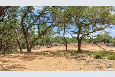 Tract 8 Cypress Cove Road, Spring Branch, TX 78070 - Photo 2