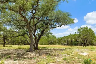 Tract 8 Cypress Cove Rd, Spring Branch, TX 78070 - Photo 1
