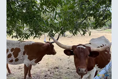 4009 N Highway 183, Lampasas, TX 76550 - Photo 20