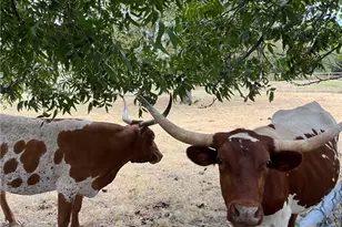 4009 N Hwy 183, Lampasas, TX 76550 - Photo 20
