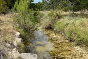 4009 N Hwy 183, Lampasas, TX 76550 - Photo 2
