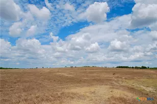 Tbd Fm 1891, Shiner, TX 77984 - Photo 14