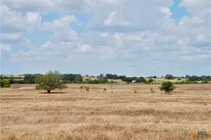 Tbd Fm 1891, Shiner, TX 77984 - Photo 4