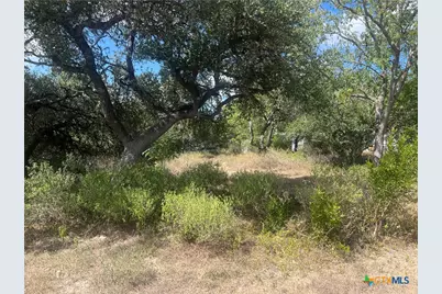 542/558 Flintstone Drive, Canyon Lake, TX 78133 - Photo 10