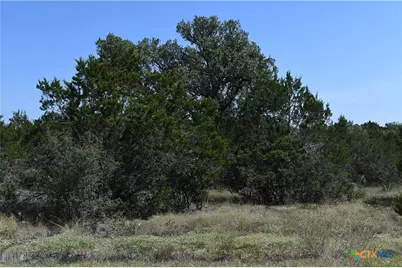 291 Serenity Pass, Spring Branch, TX 78070 - Photo 4