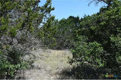 291 Serenity Pass, Spring Branch, TX 78070 - Photo 6