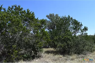291 Serenity Pass, Spring Branch, TX 78070 - Photo 16