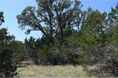 291 Serenity Pass, Spring Branch, TX 78070 - Photo 10