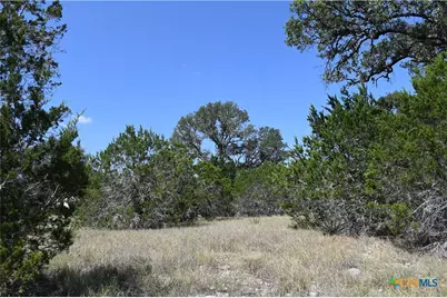 291 Serenity Pass, Spring Branch, TX 78070 - Photo 14